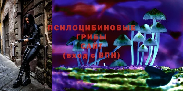 спайс Майский