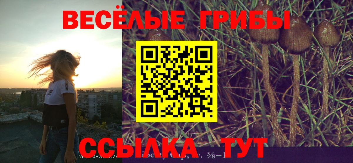 Псилоцибиновые грибы прущие грибы  цена наркотик  Усинск 